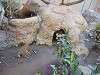 ueno_zoo_0189_mini.jpg