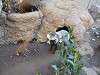 ueno_zoo_0192_mini.jpg