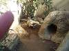 ueno_zoo_0200_mini.jpg