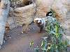 ueno_zoo_0209_mini.jpg