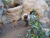 ueno_zoo_0210_mini.jpg