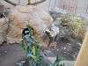 ueno_zoo_0219_mini.jpg