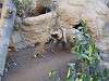 ueno_zoo_0222_mini.jpg