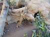 ueno_zoo_0223_mini.jpg