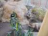 ueno_zoo_0240_mini.jpg
