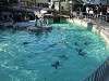 ueno_zoo_0247_mini.jpg