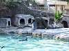 ueno_zoo_0252_mini.jpg