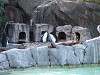 ueno_zoo_0253_mini.jpg