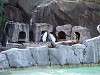 ueno_zoo_0254_mini.jpg