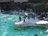 ueno_zoo_0258_mini.jpg