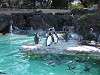 ueno_zoo_0259_mini.jpg