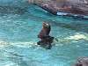 ueno_zoo_0270_mini.jpg