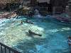 ueno_zoo_0272_mini.jpg