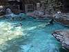 ueno_zoo_0278_mini.jpg