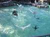 ueno_zoo_0284_mini.jpg