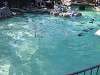 ueno_zoo_0287_mini.jpg