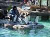 ueno_zoo_0290_mini.jpg