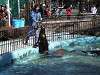 ueno_zoo_0292_mini.jpg
