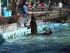 ueno_zoo_0293_mini.jpg