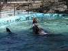 ueno_zoo_0296_mini.jpg