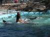 ueno_zoo_0301_mini.jpg