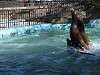 ueno_zoo_0305_mini.jpg