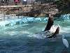 ueno_zoo_0307_mini.jpg