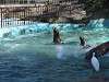 ueno_zoo_0309_mini.jpg
