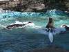 ueno_zoo_0311_mini.jpg
