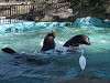 ueno_zoo_0313_mini.jpg