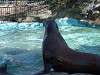 ueno_zoo_0322_mini.jpg