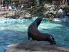ueno_zoo_0324_mini.jpg