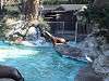 ueno_zoo_0326_mini.jpg