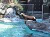 ueno_zoo_0328_mini.jpg