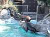 ueno_zoo_0331_mini.jpg