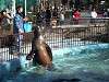 ueno_zoo_0333_mini.jpg