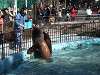 ueno_zoo_0334_mini.jpg