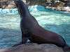 ueno_zoo_0338_mini.jpg