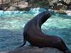 ueno_zoo_0342_mini.jpg