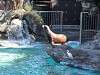 ueno_zoo_0345_mini.jpg