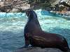 ueno_zoo_0348_mini.jpg
