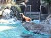 ueno_zoo_0351_mini.jpg