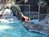 ueno_zoo_0352_mini.jpg