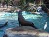 ueno_zoo_0353_mini.jpg