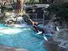 ueno_zoo_0354_mini.jpg
