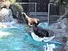 ueno_zoo_0355_mini.jpg
