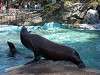 ueno_zoo_0359_mini.jpg