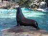 ueno_zoo_0360_mini.jpg