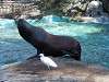 ueno_zoo_0364_mini.jpg