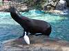 ueno_zoo_0368_mini.jpg